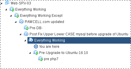 ESXi Snapshots
