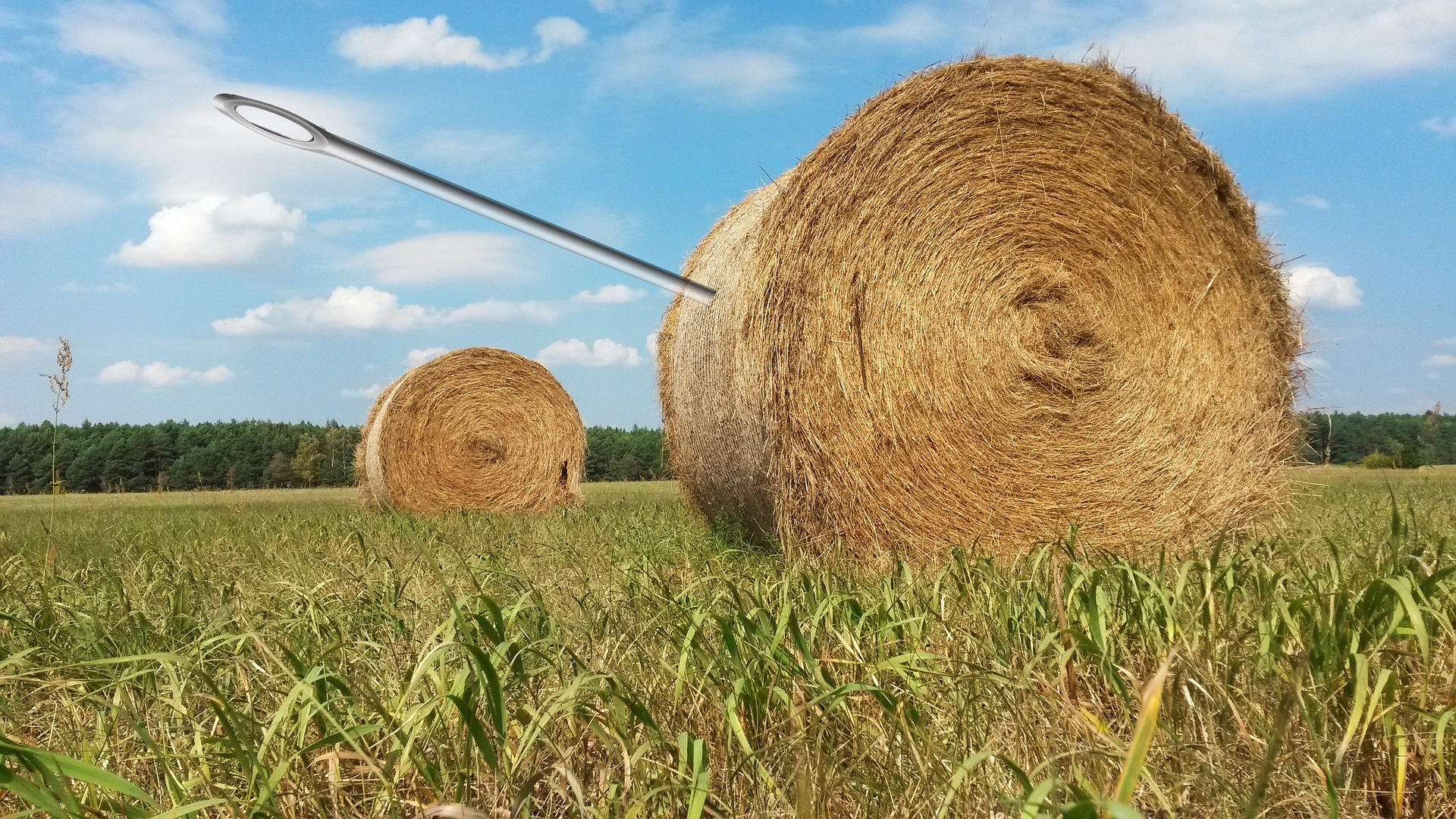 needle-in-a-haystack-1706106_1920.jpg