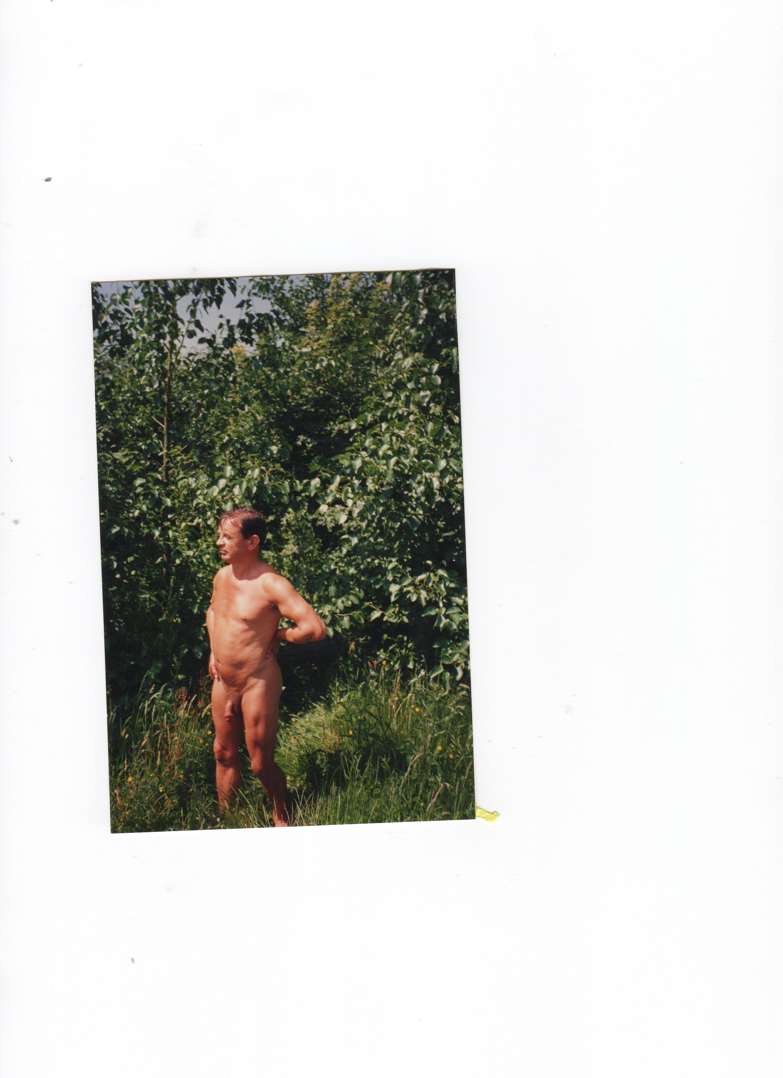 in the woods