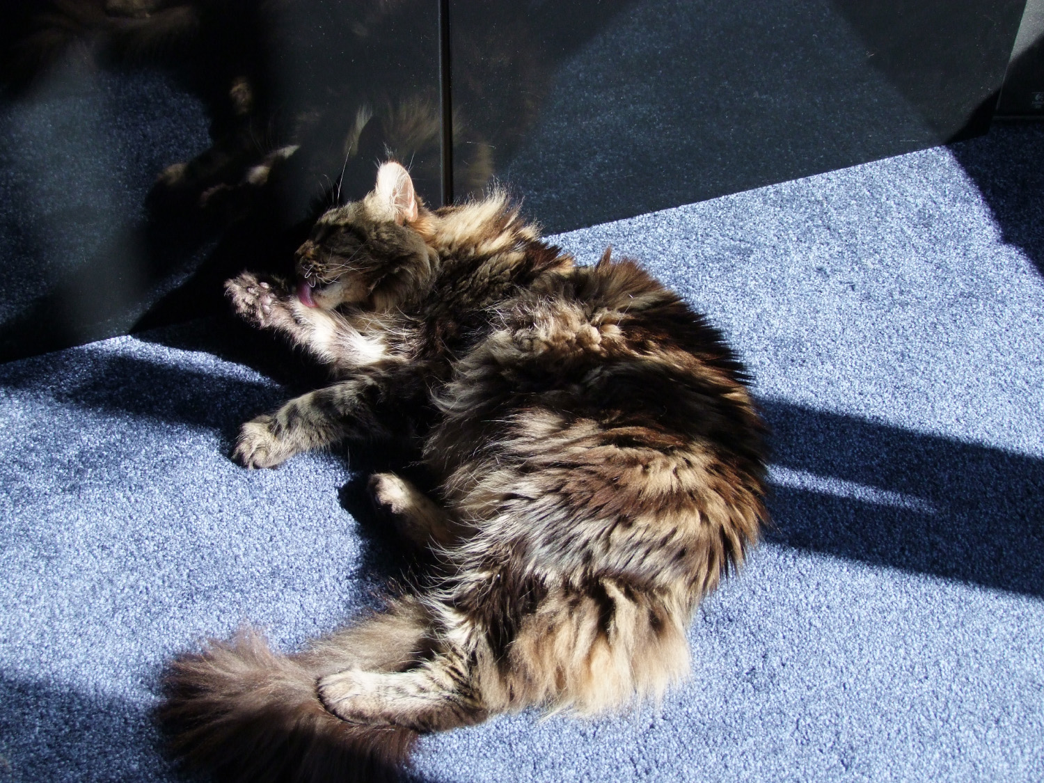 DSCF5835.jpg