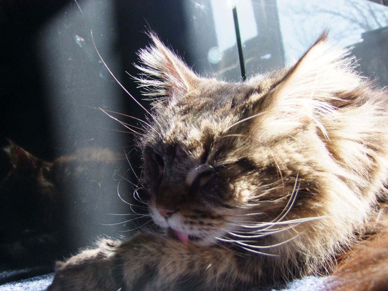 DSCF5842.jpg