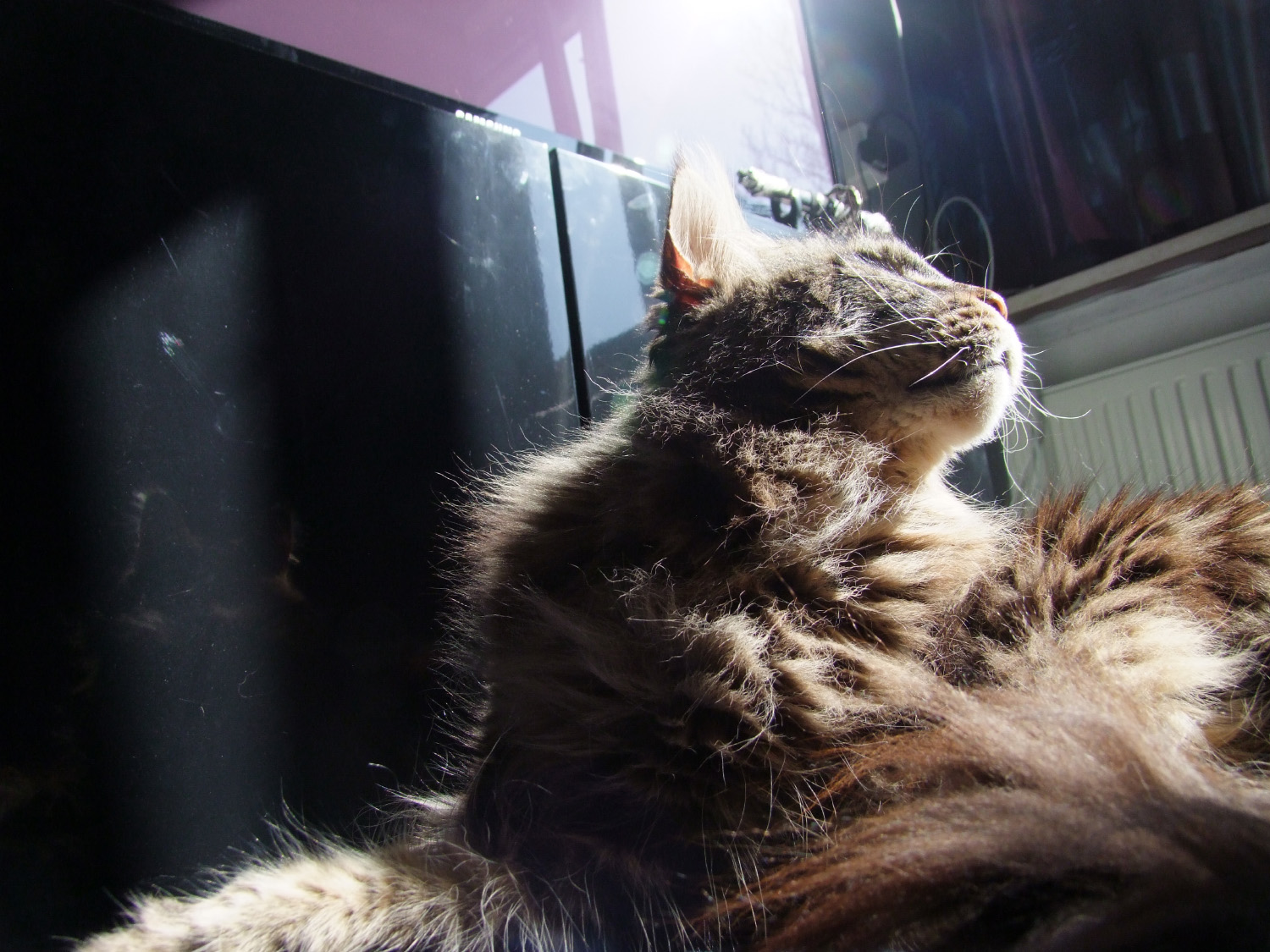 DSCF5843.jpg
