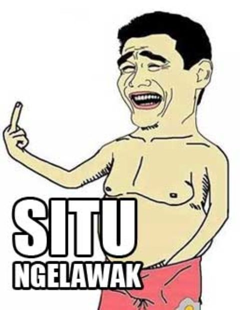 RIS.jpg