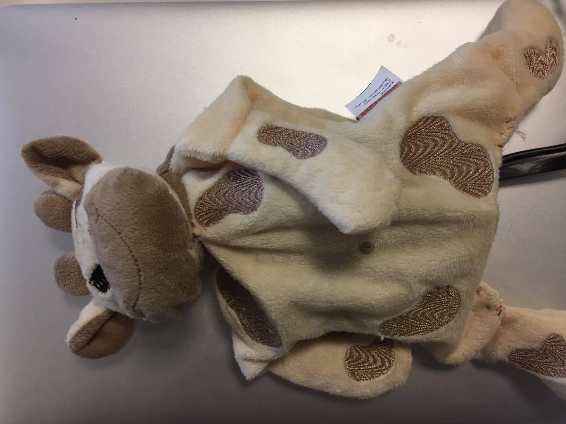 My Teddy Keeper