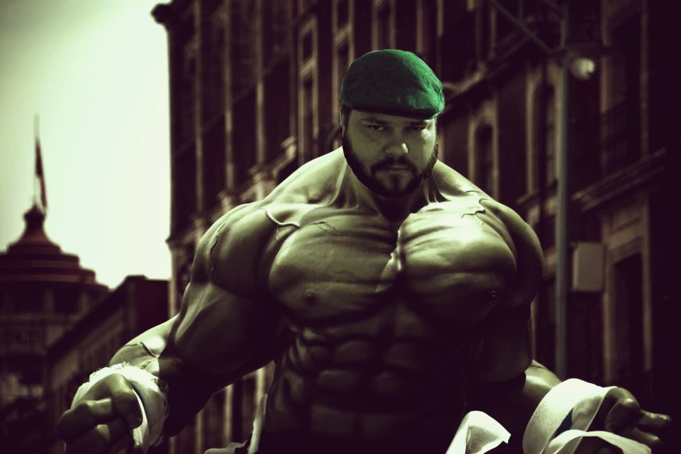 hulk_the_avengers_movie_wallpaper-960x640_result.jpg