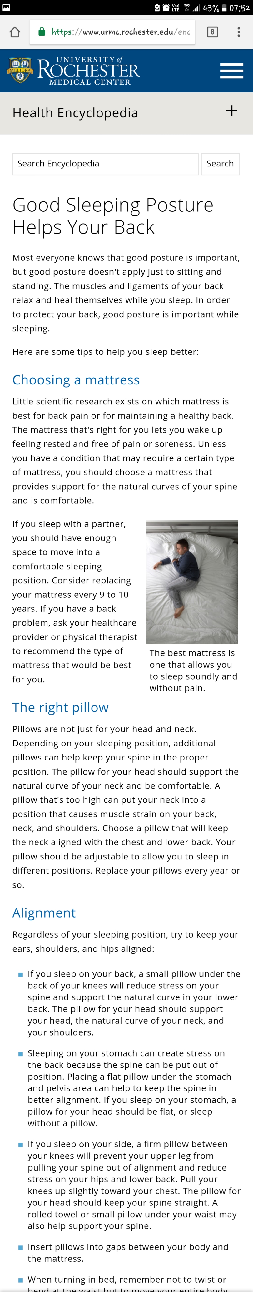 sleepbedmatressback.jpg