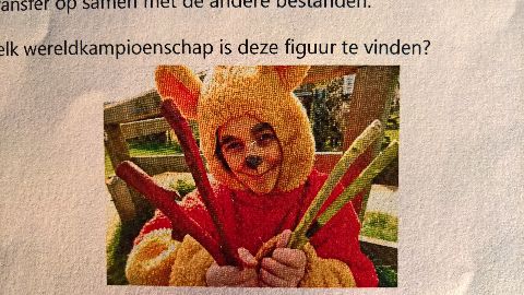 RIS.jpg