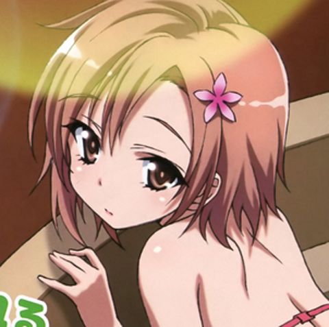 RIS.jpg