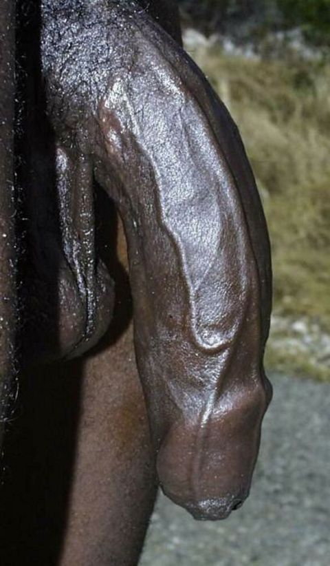 RIS.jpg