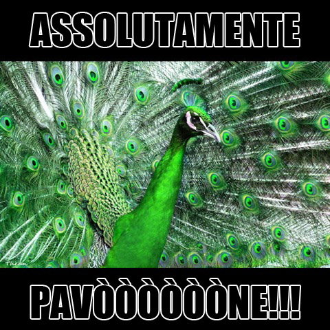 gpeacock.jpg