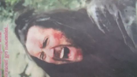 RIS.jpg
