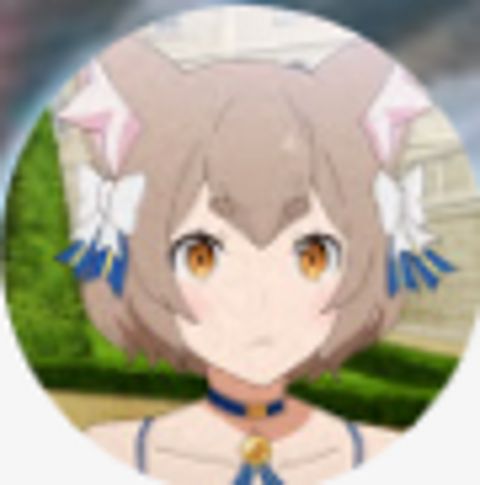 RIS.jpg