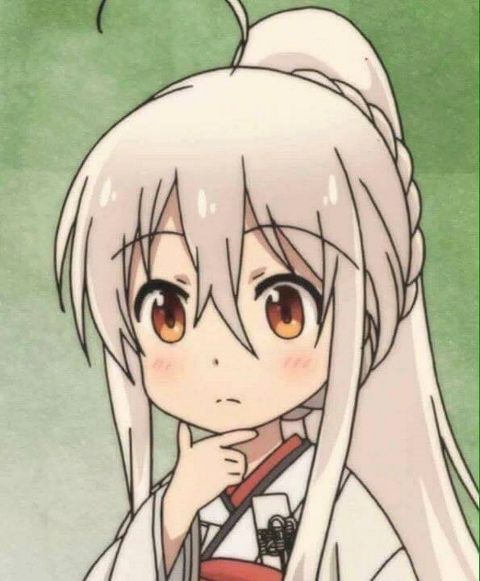 RIS.jpg