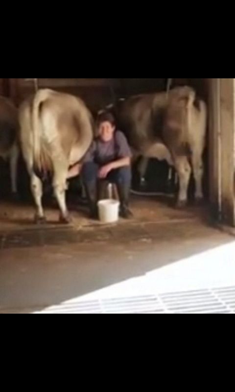 RIS.jpg
