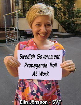 Elin Jönsson SVT PROPAGANDA TROLL SWEDEN FAKE NEWS MEDIA