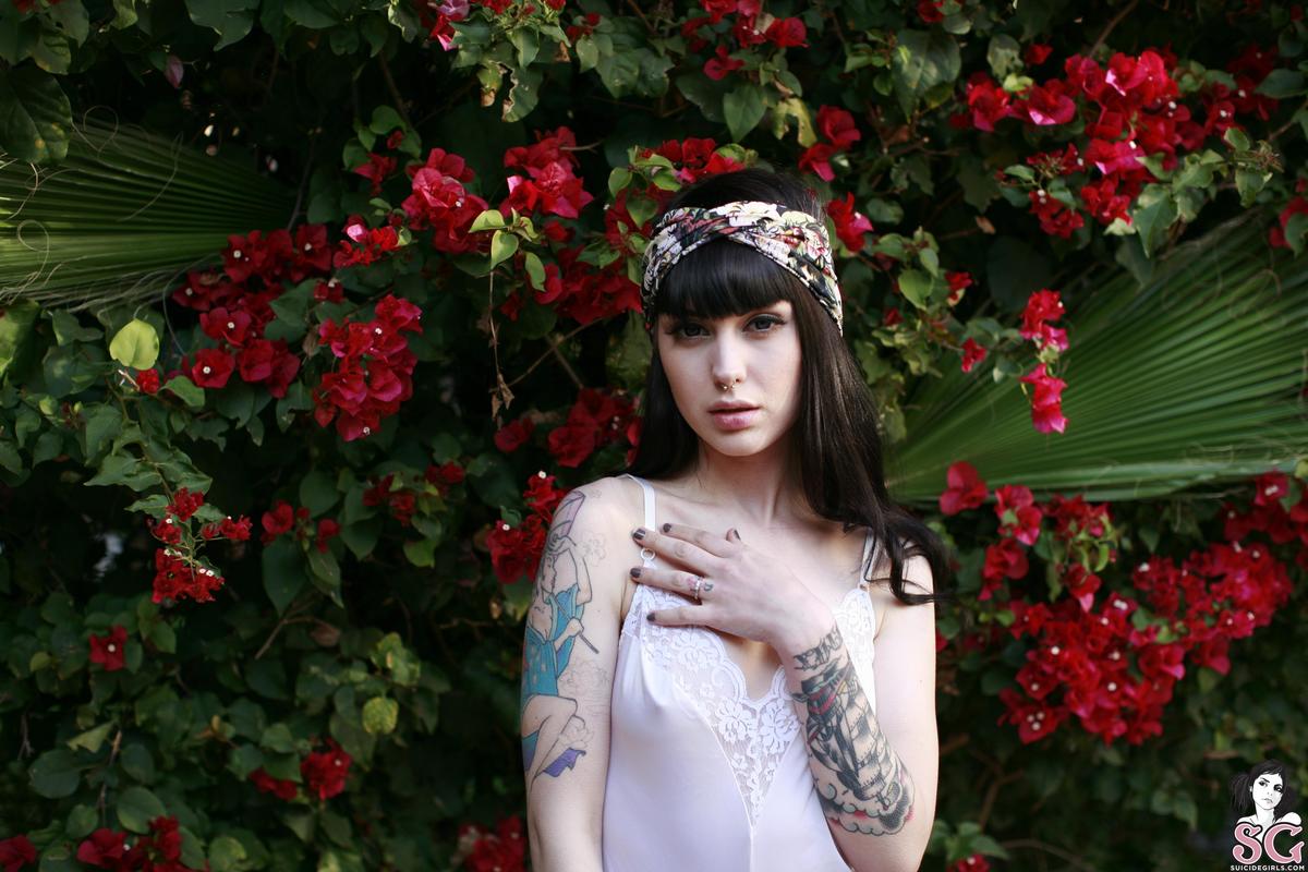 arwen-sugarbird-05.jpg