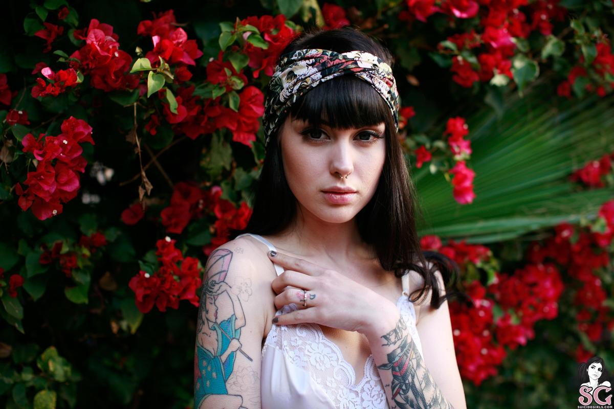 arwen-sugarbird-07.jpg