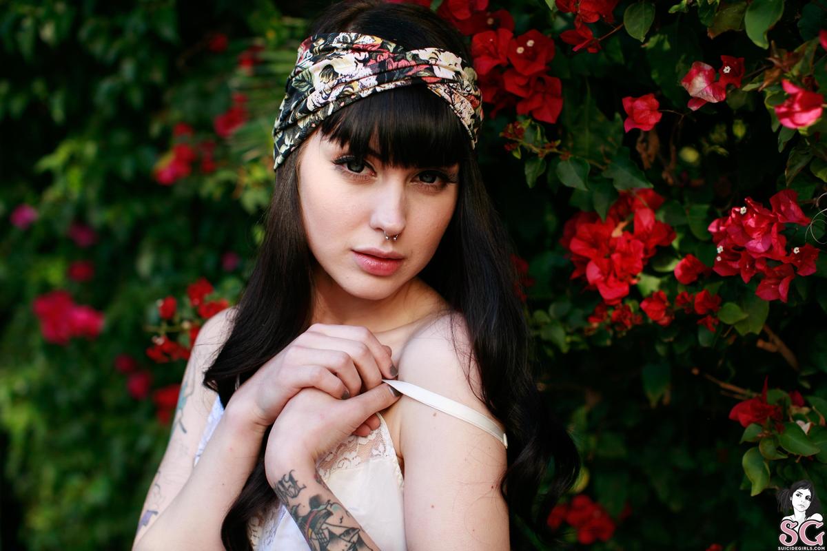 arwen-sugarbird-09.jpg