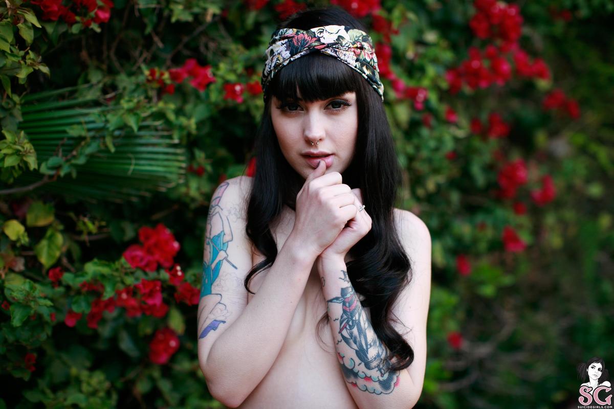 arwen-sugarbird-39.jpg