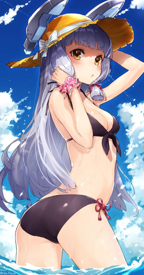 RIS.jpg