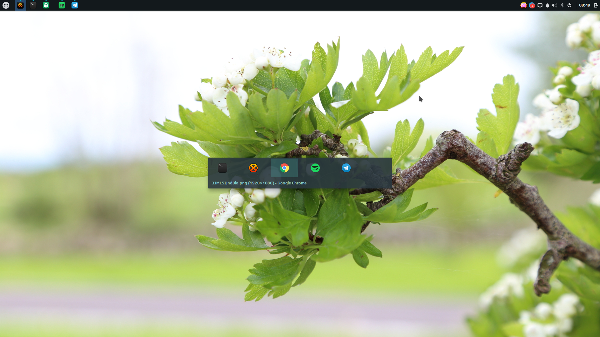Screenshotfrom2017-04-1708-49-54.png