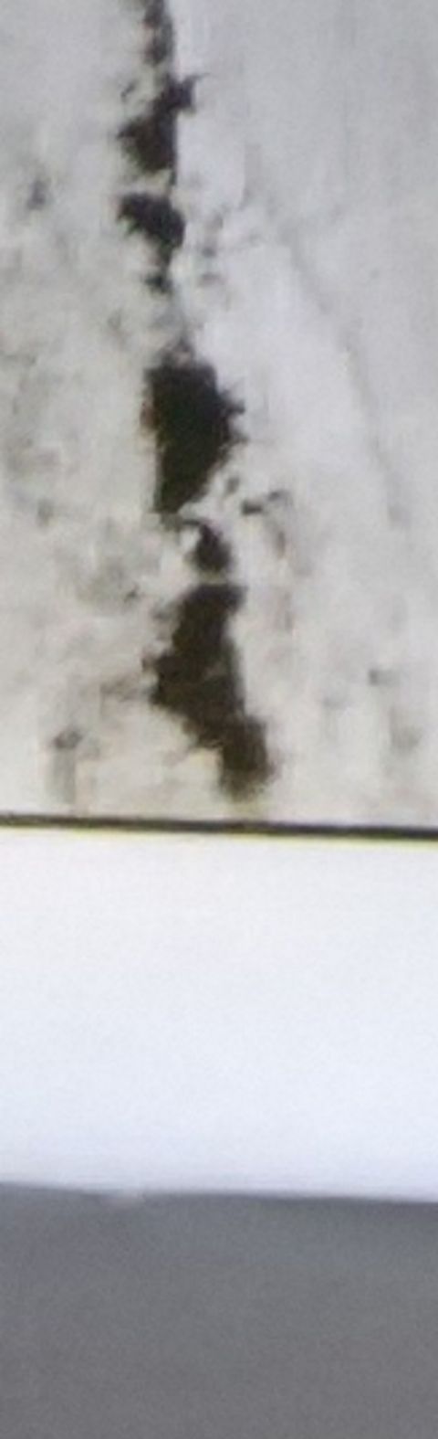 RIS.jpg