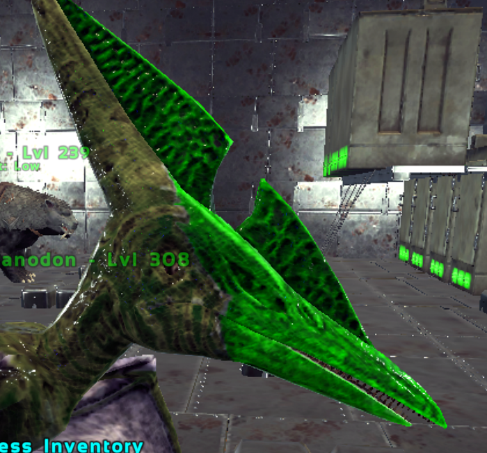 ptera.png