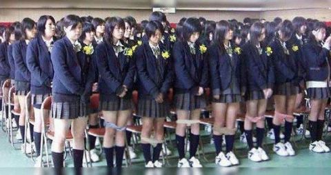 RIS.jpg
