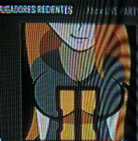 RIS.jpg
