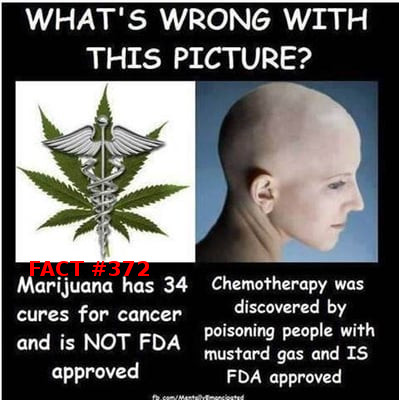 cannabiscancer.jpg
