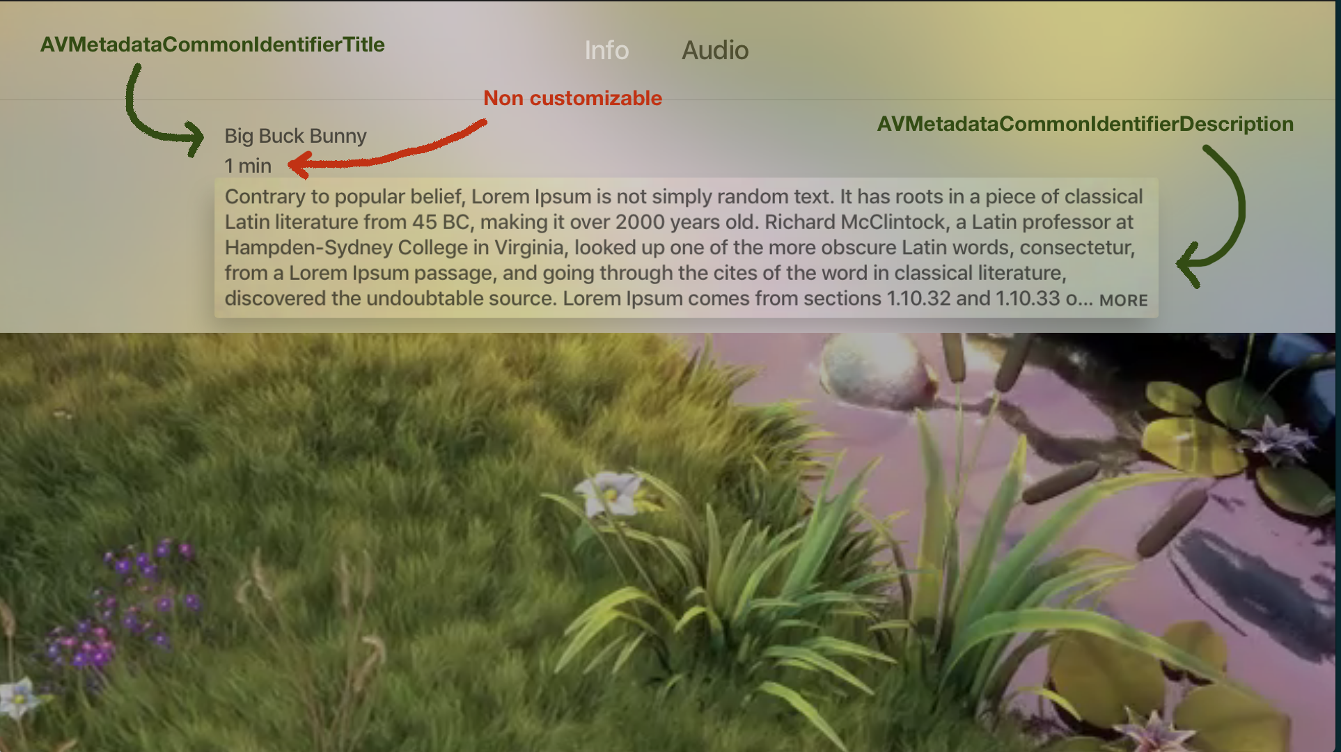 avplayerMetadata.png