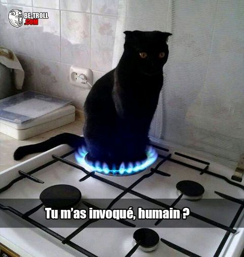 RIS.jpg