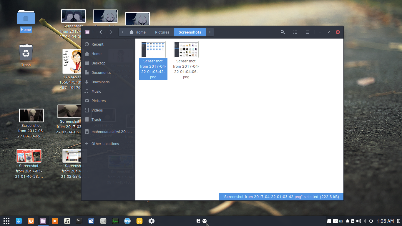 Screenshotfrom2017-04-22010622.png