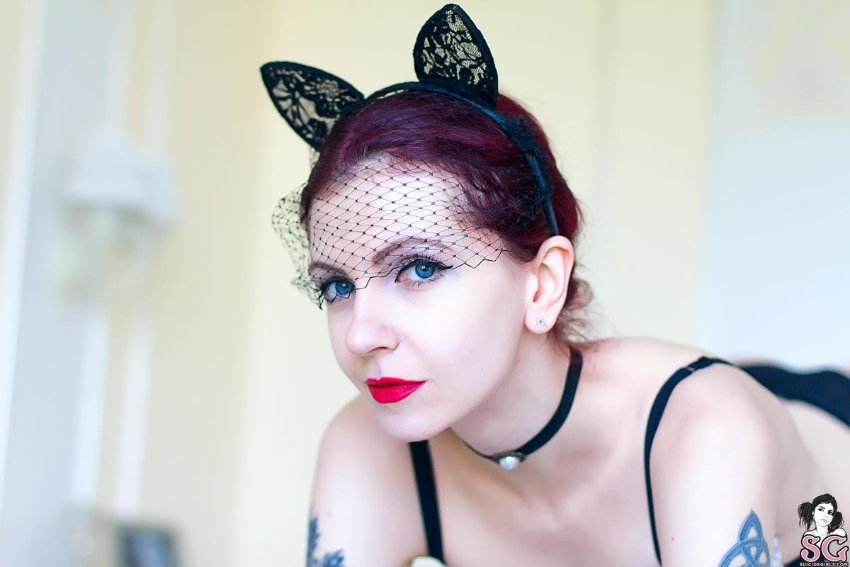 dimarti-kittydoll-13.jpg