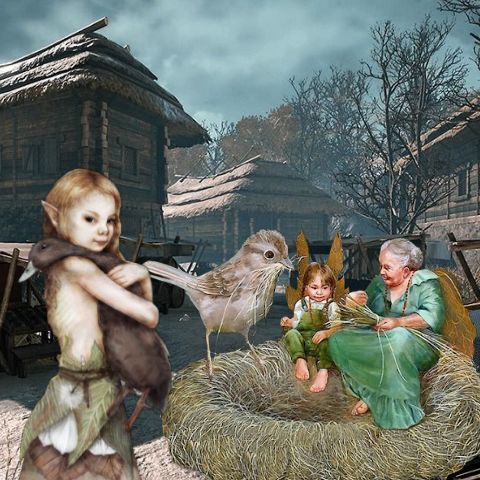 RIS.jpg