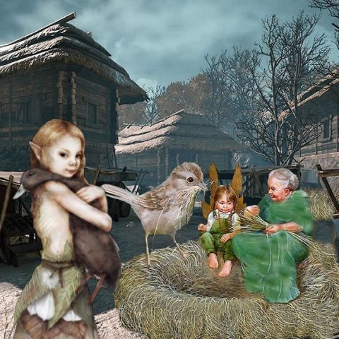 RIS.jpg