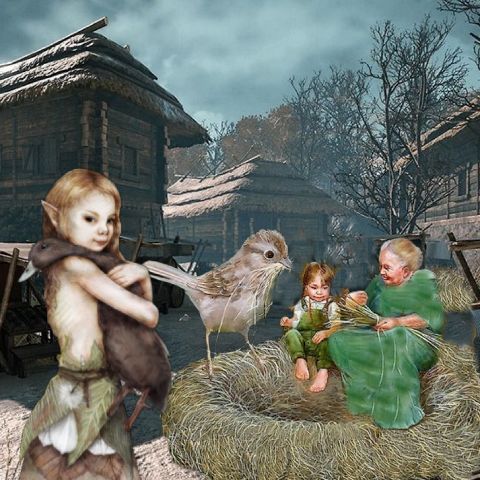RIS.jpg