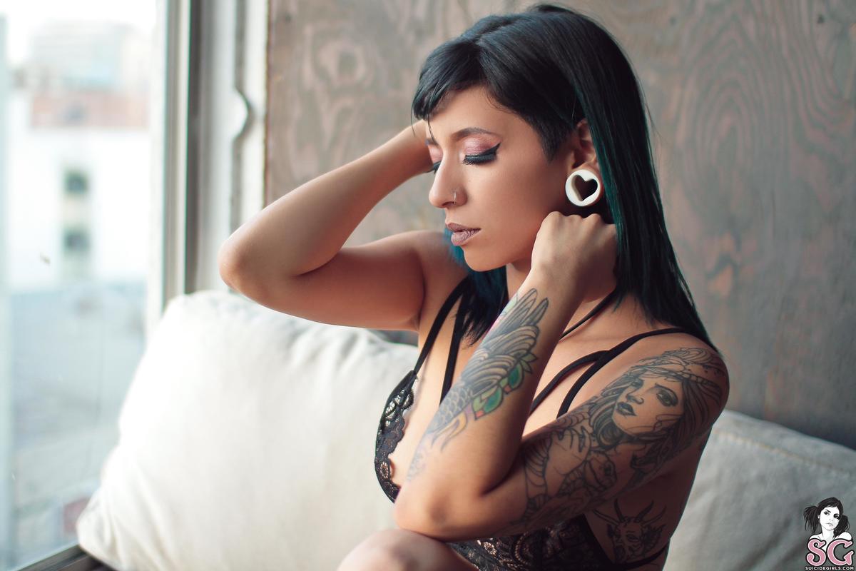 vikat-kittyinthewindow-01.jpg