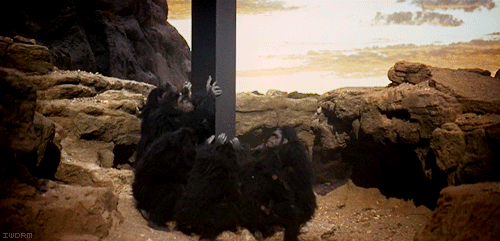 aHzp6SS.gif