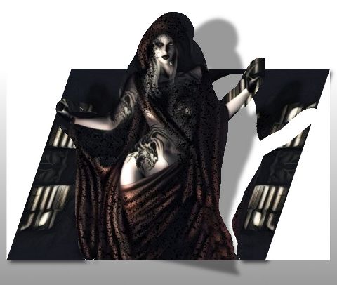 RIS.jpg
