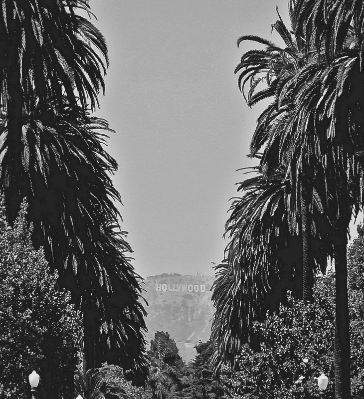 Windsor Blvd. Photo By David Hanjani