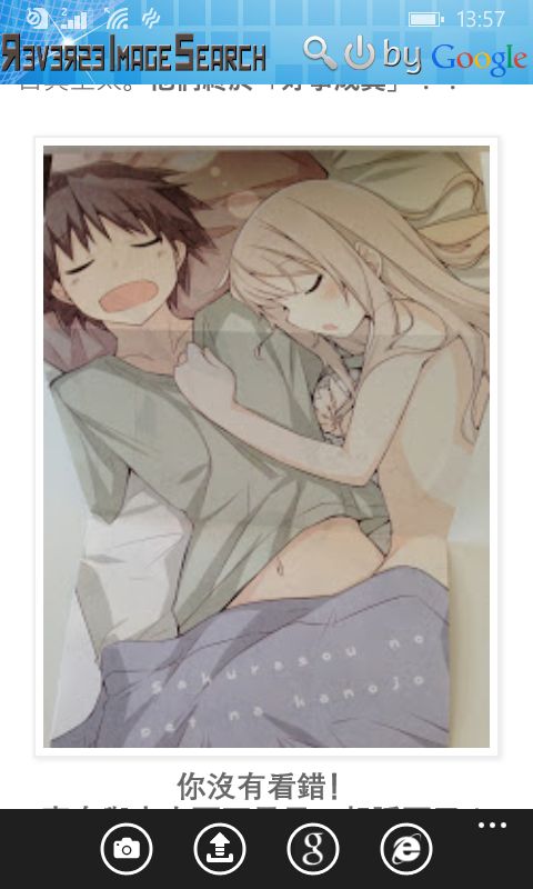 RIS.jpg