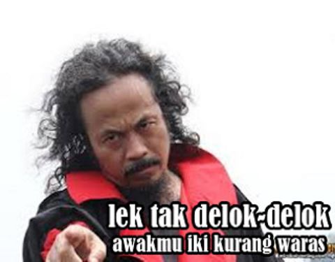 RIS.jpg