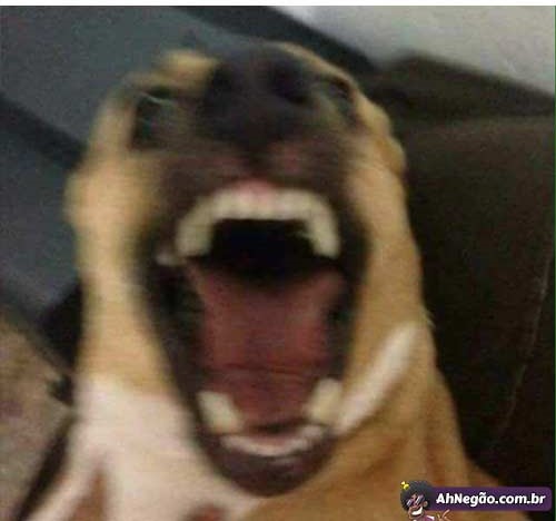 HAHAHAAHAHHA