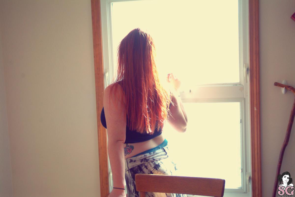 gunflower-morninglight-03.jpg
