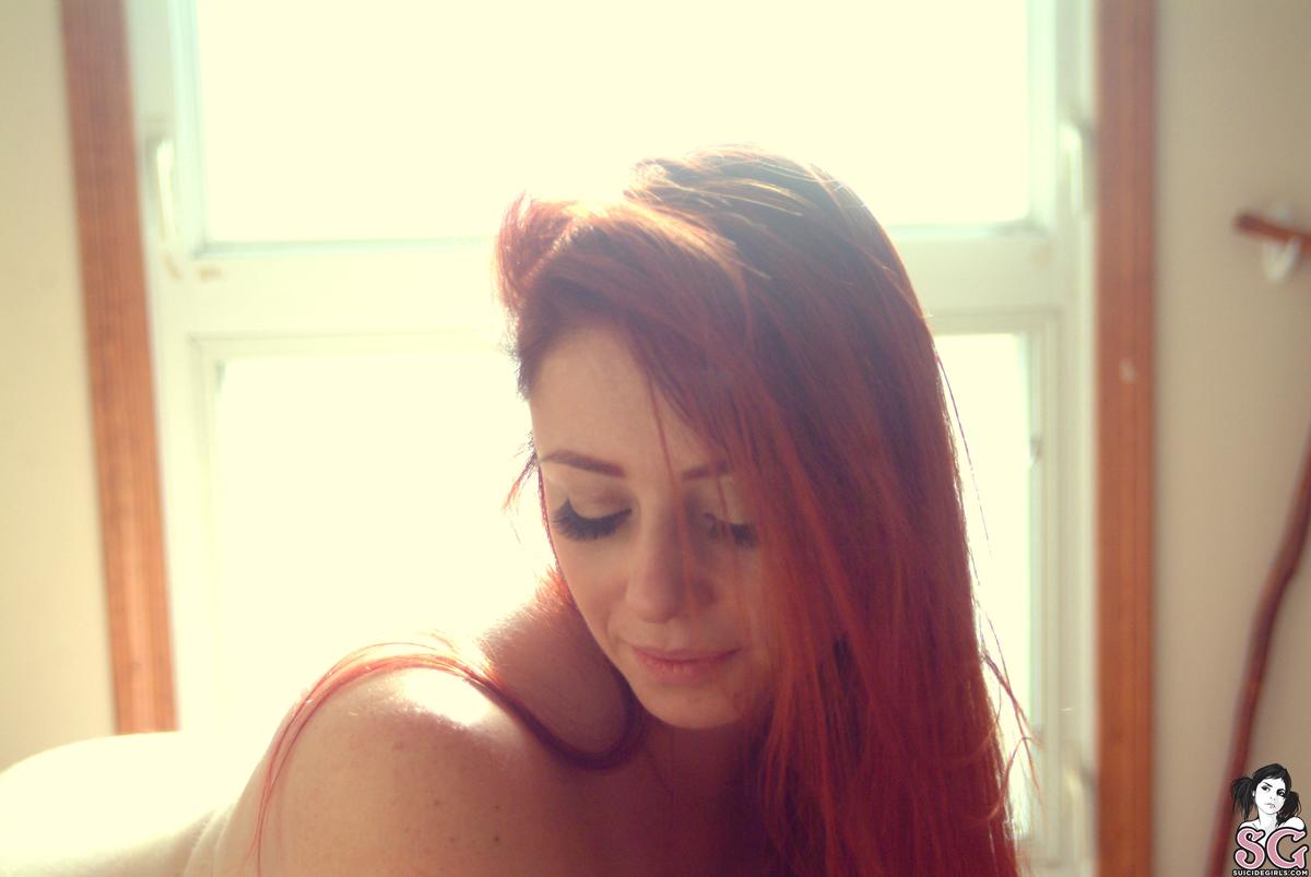 gunflower-morninglight-39.jpg