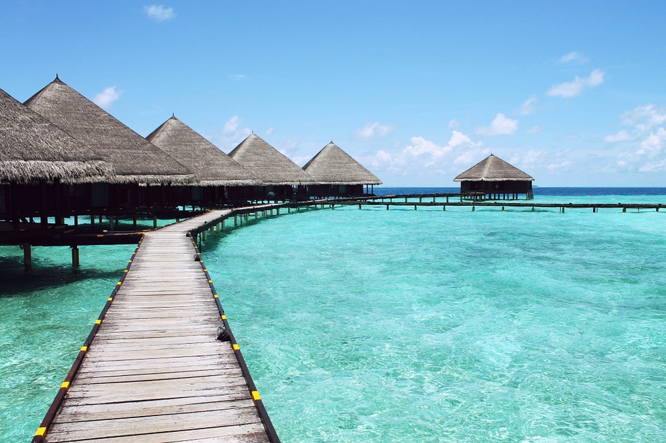 Paradise