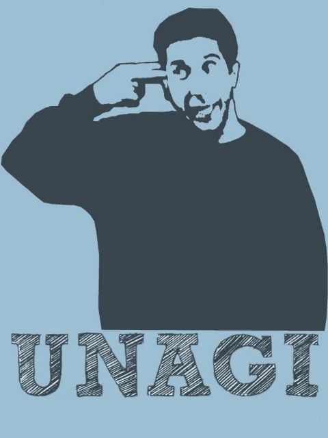 RIS.jpg