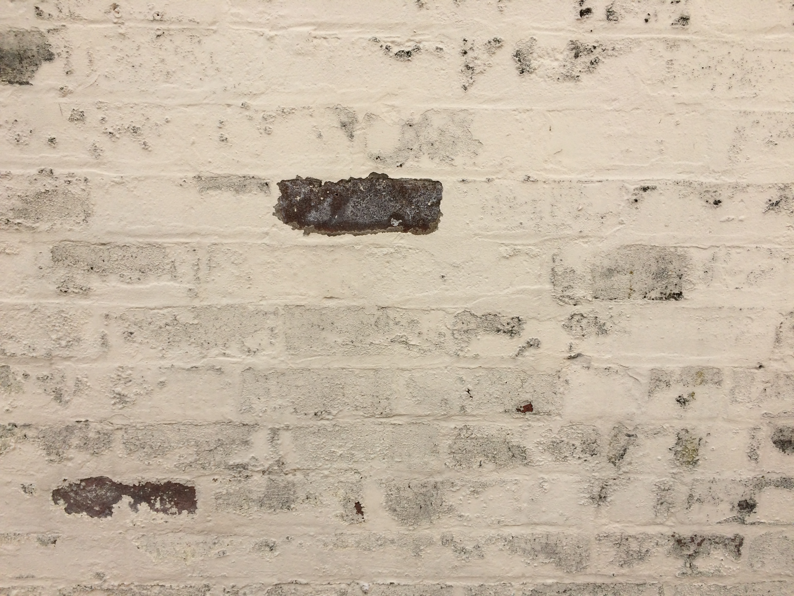 Bricks