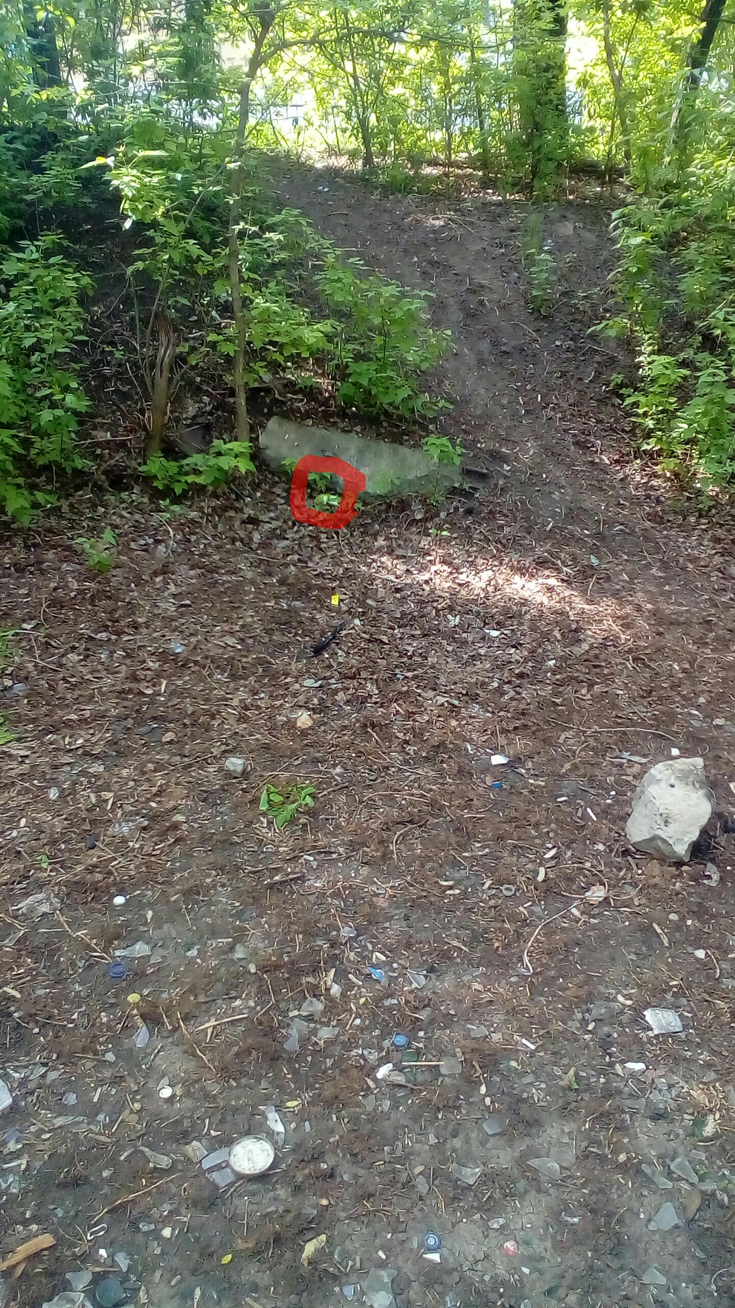 P_20170503_101130_1.jpg